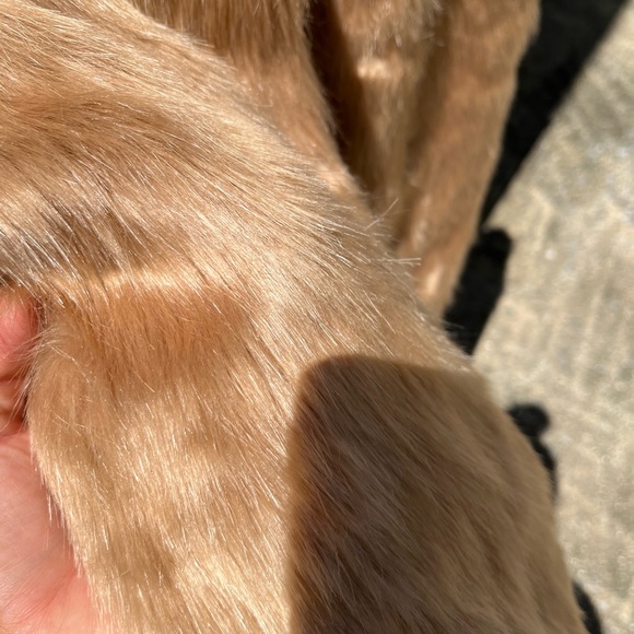 DB Fur Vest - Picture 6 of 6